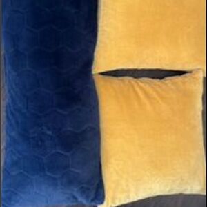 Pillows . Brand new .